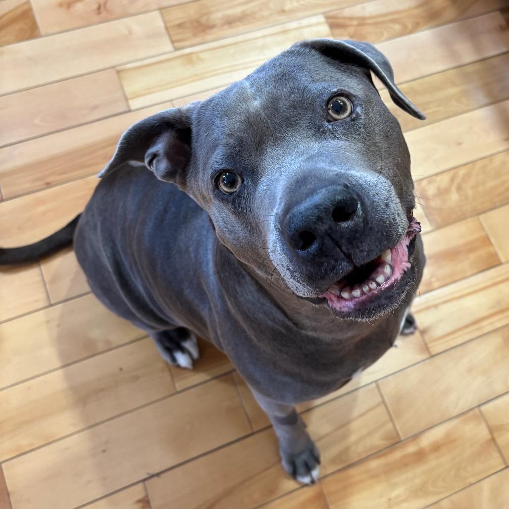 Xena 50% off - in Foster