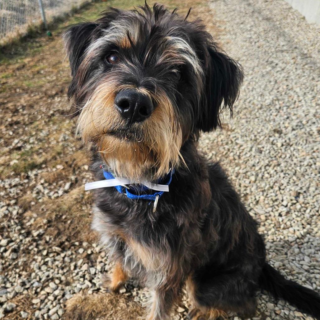 Sophia *Coming Soon*