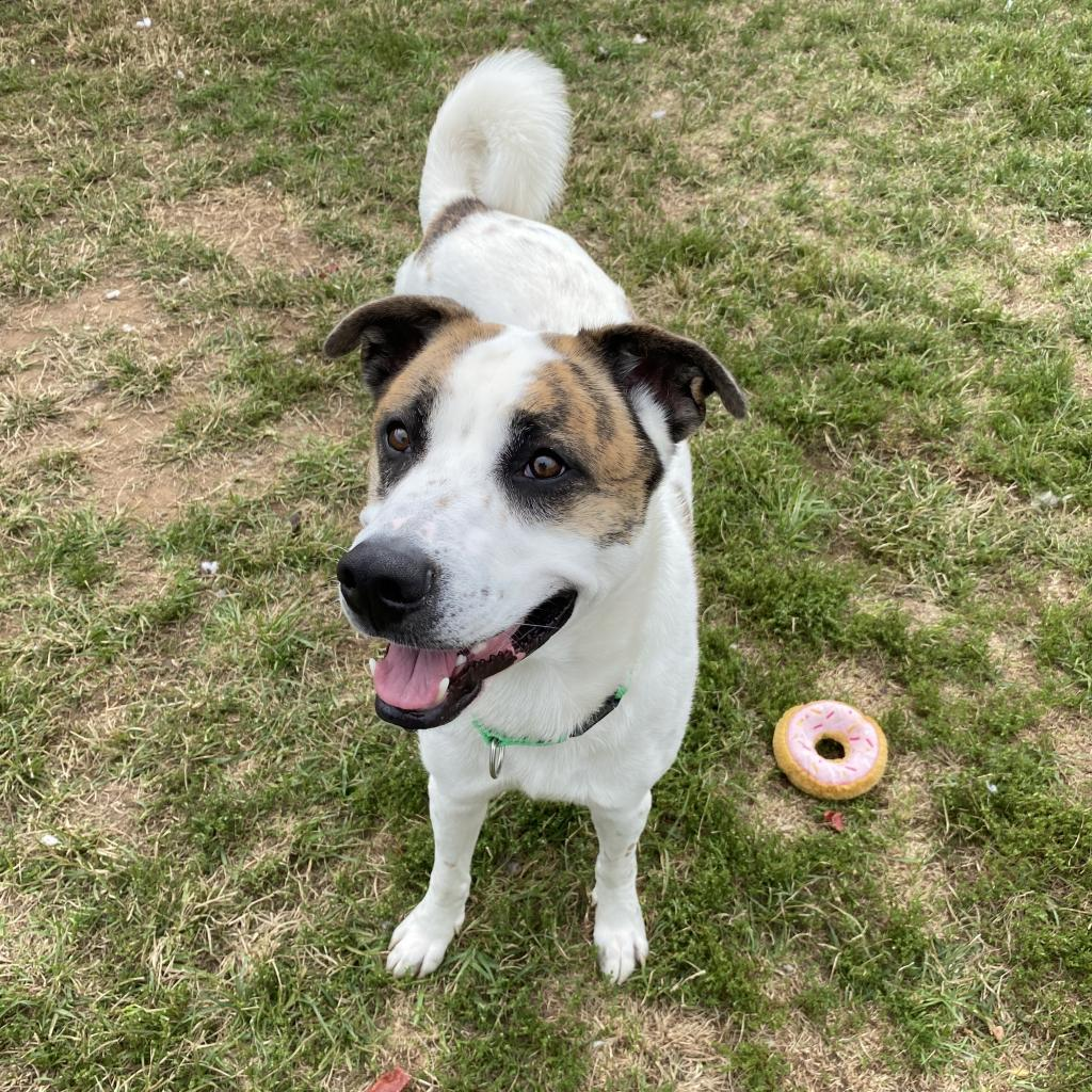 Huey