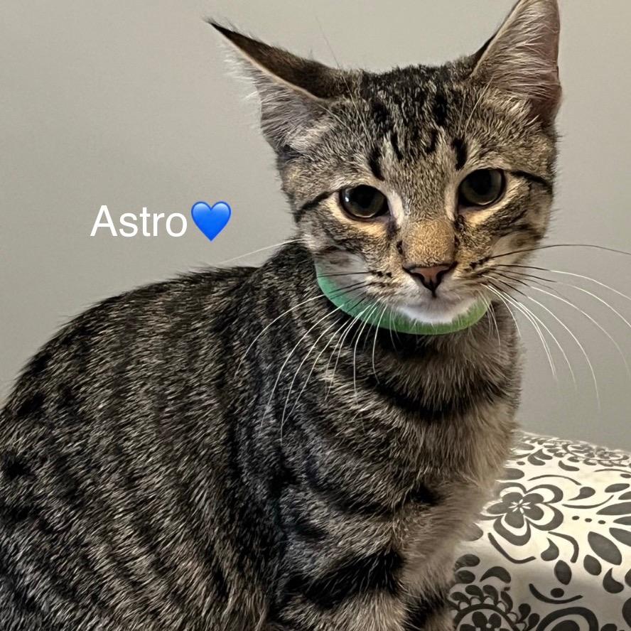 Astro