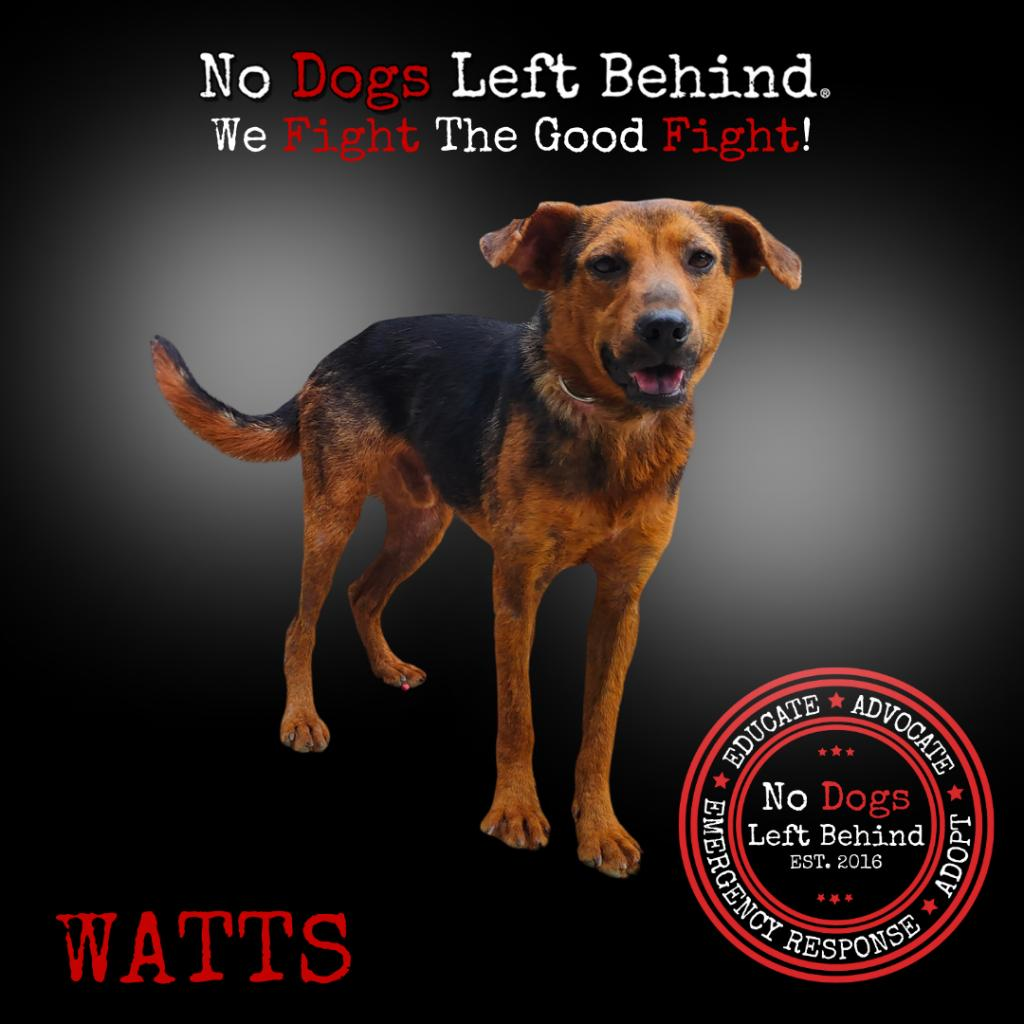 Watts 9730