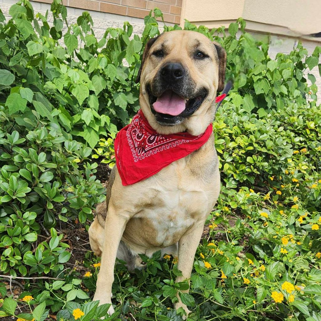 Finn JuM AKA Gage DD*