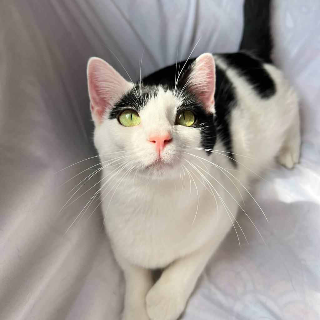 Mindy (bonded with Princess)