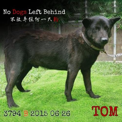 Tom 3794