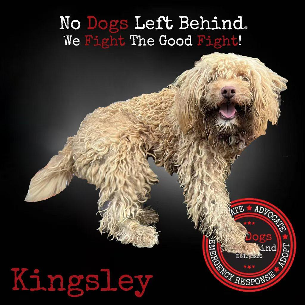 Kingsley 4192