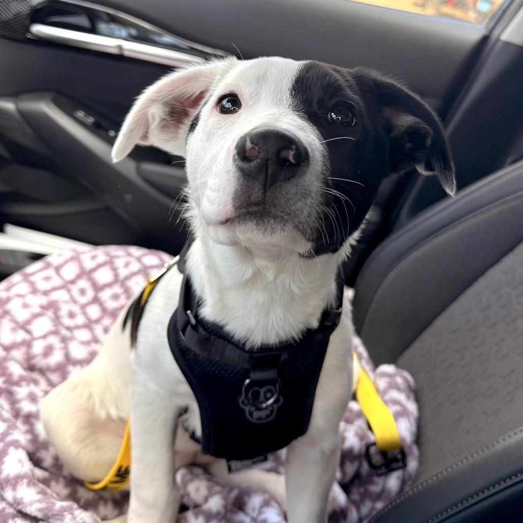 CT Eloise avail April 11