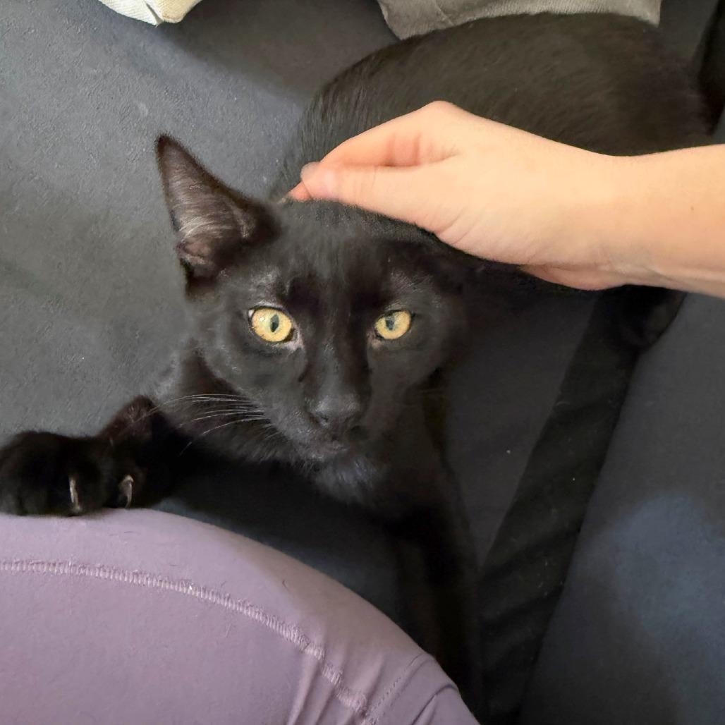 Cereal Siblings - Chex