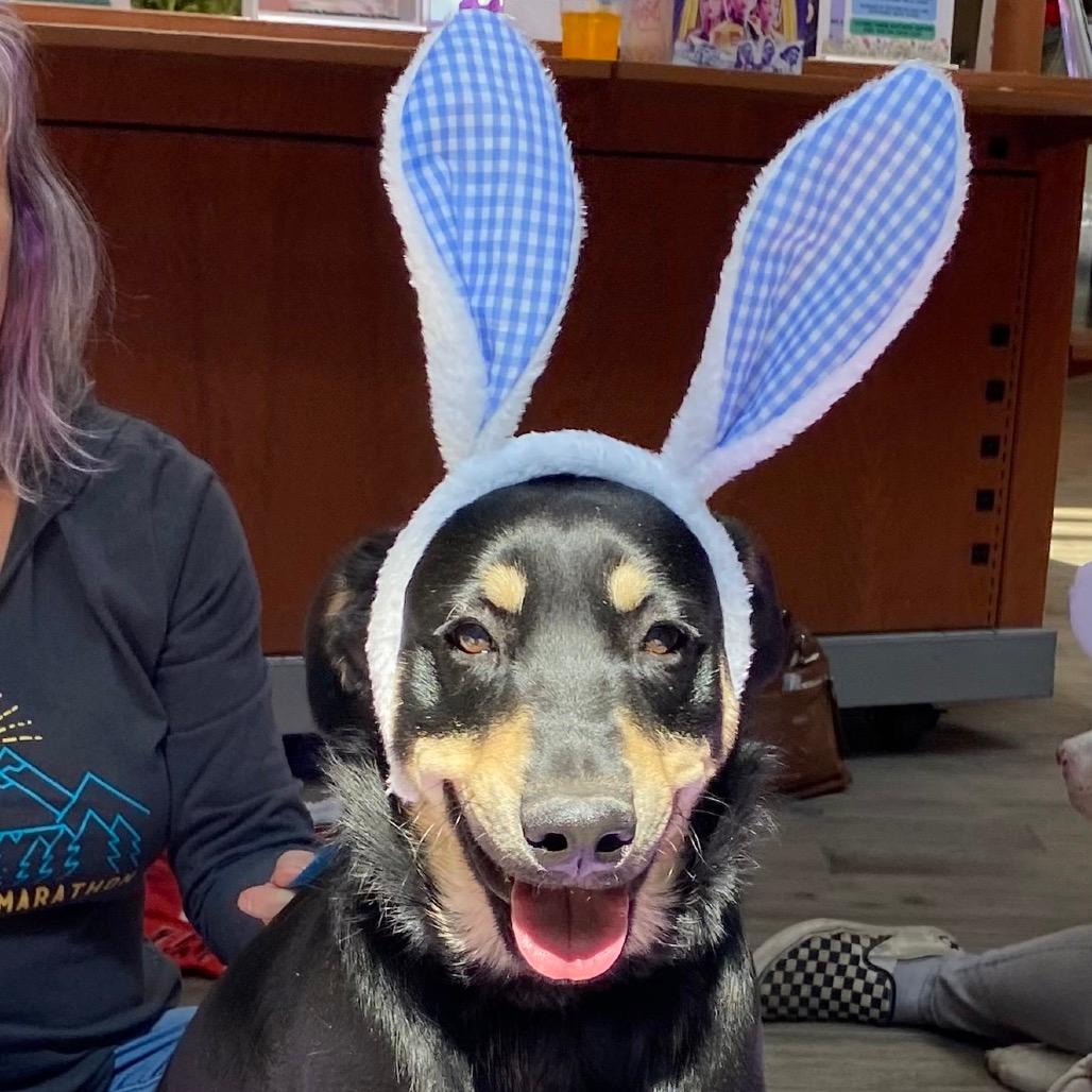 Mork (Tumbleweed #4)