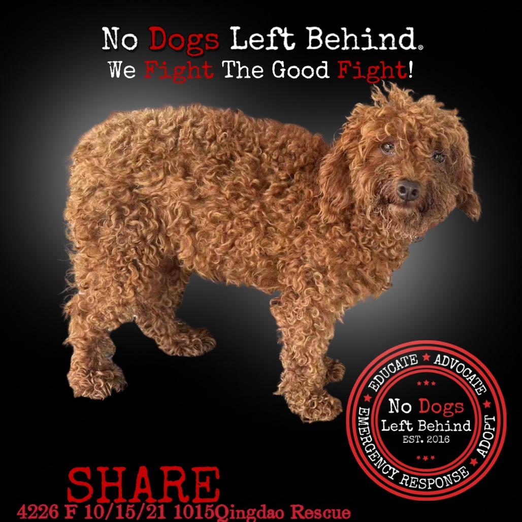 Share 4226