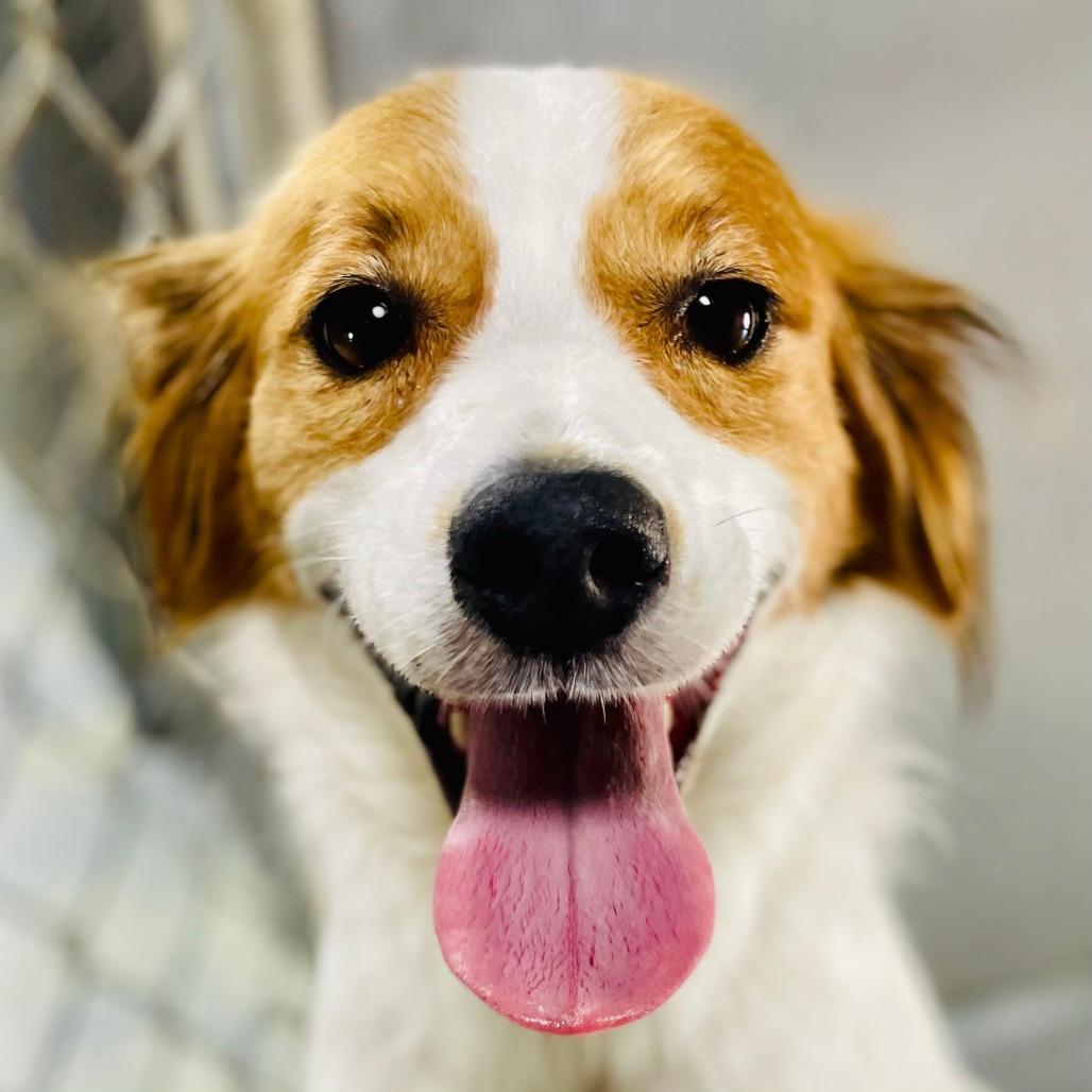 Max