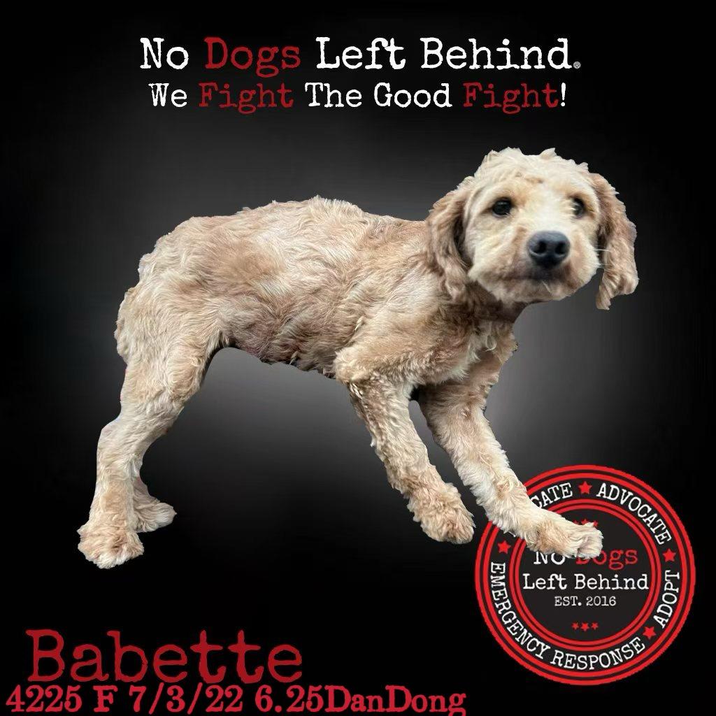 Babette 4225