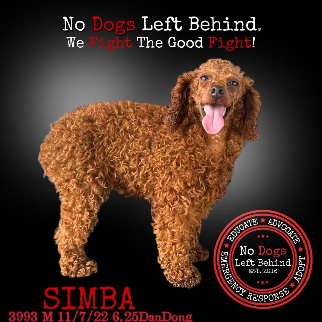 Simba 3993
