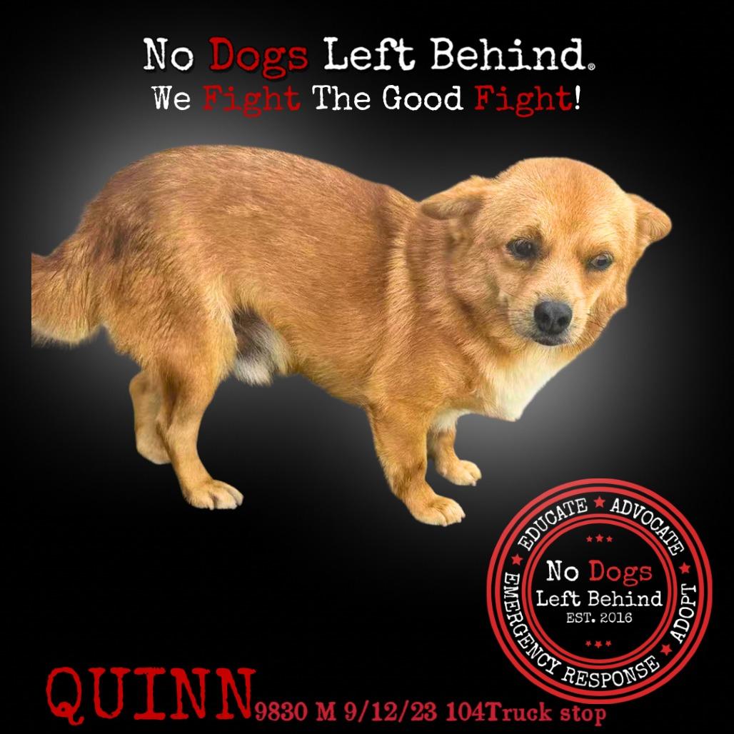 Quinn 9830