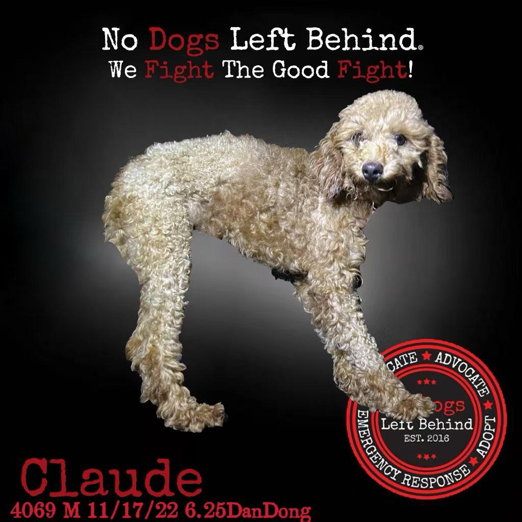 Claude 4069