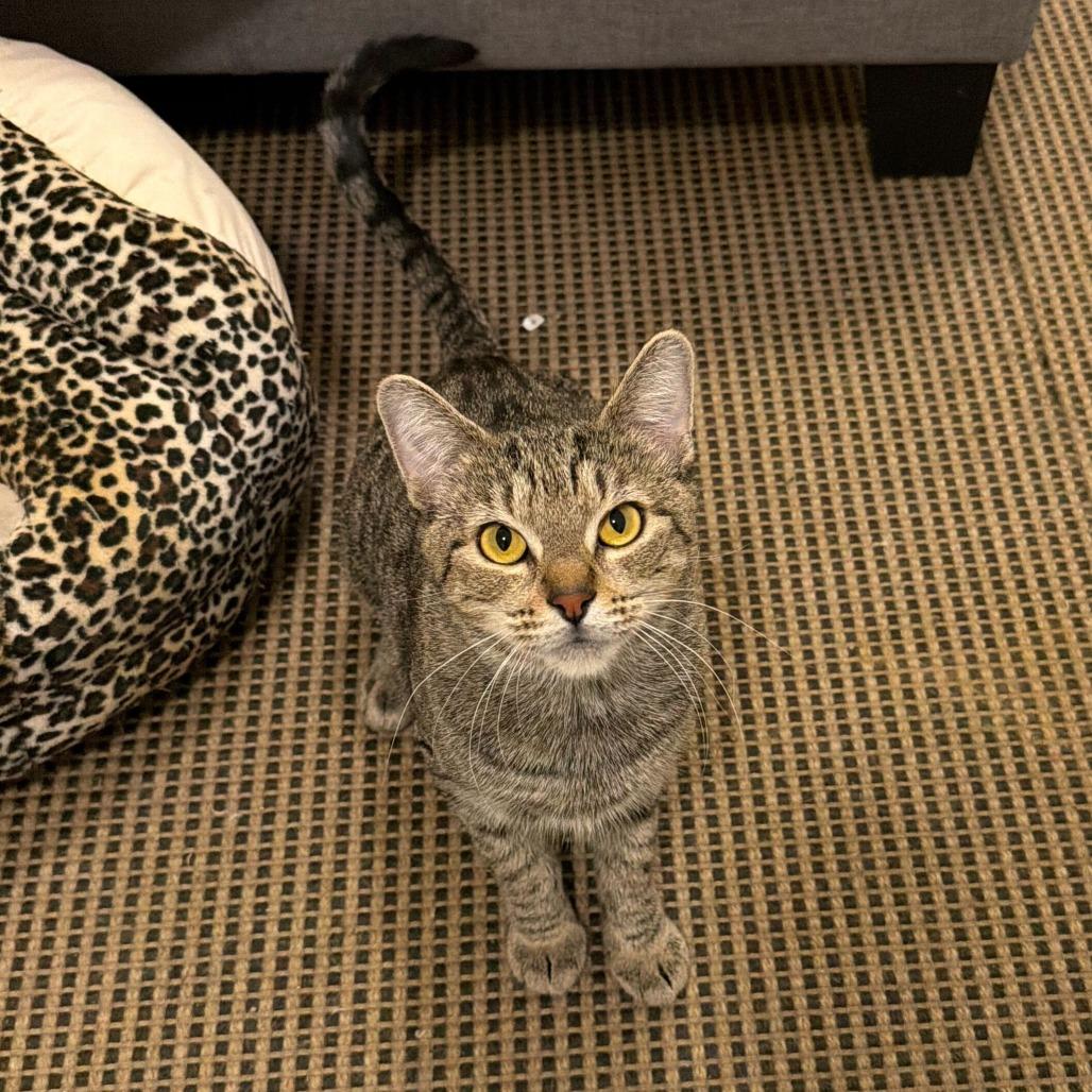 Zola