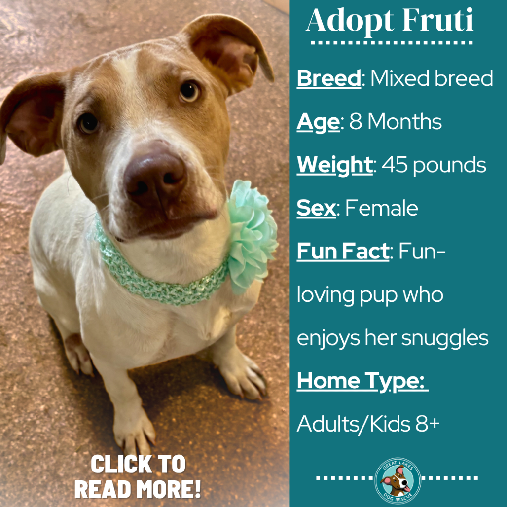 Fruti