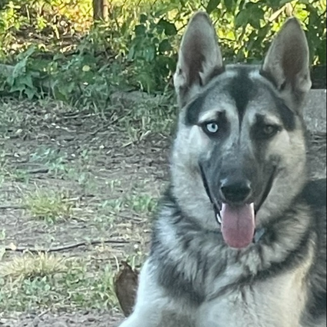Sam