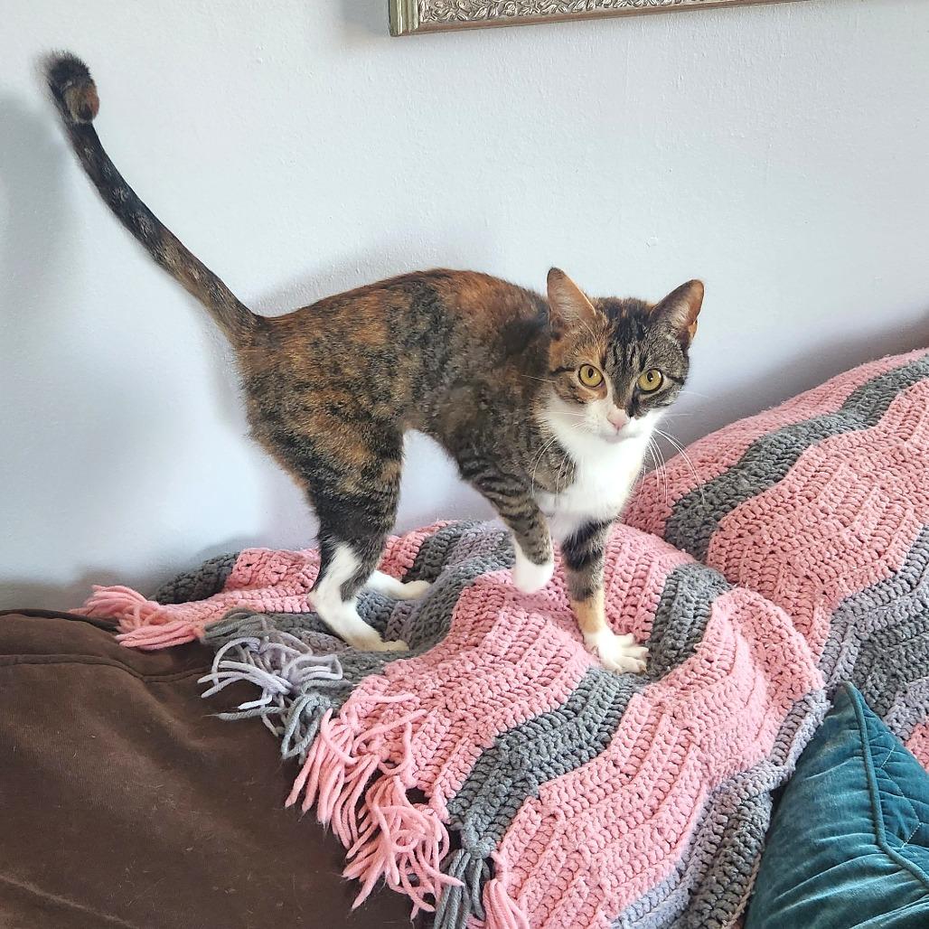 Cleo