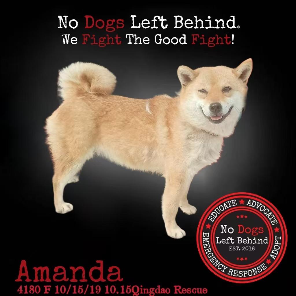 Amanda 4180