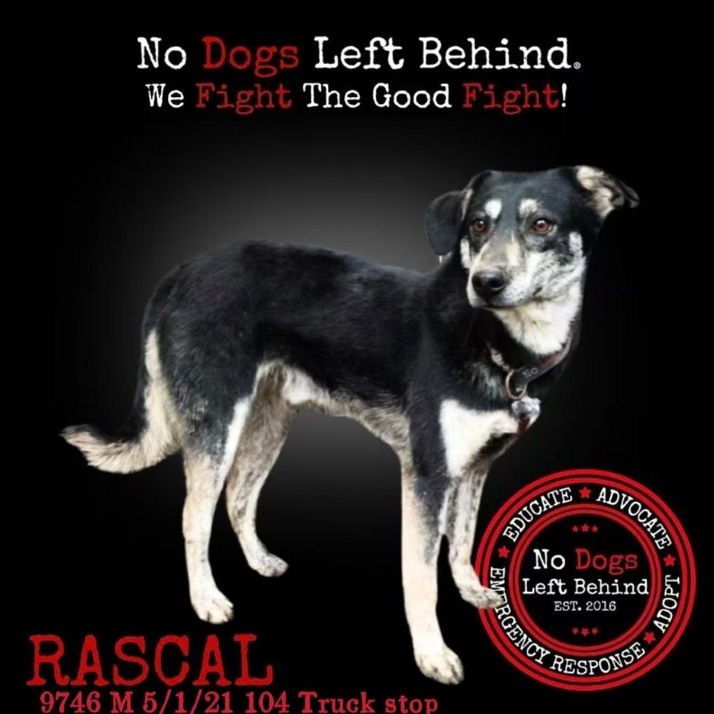 Rascal 9746