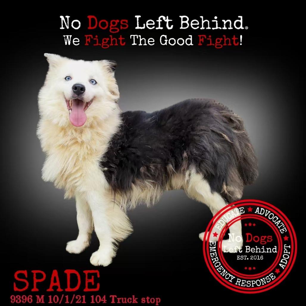 Spade 9396