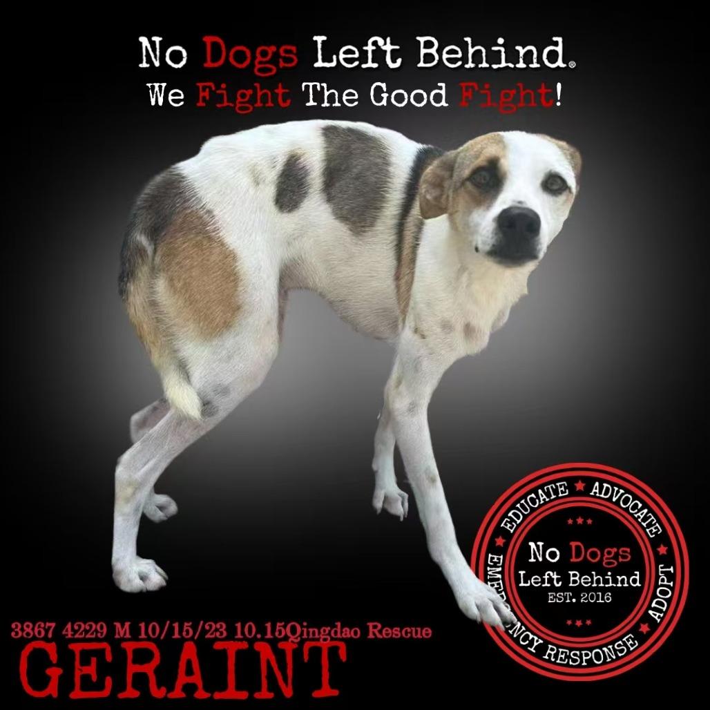 Geraint 3867