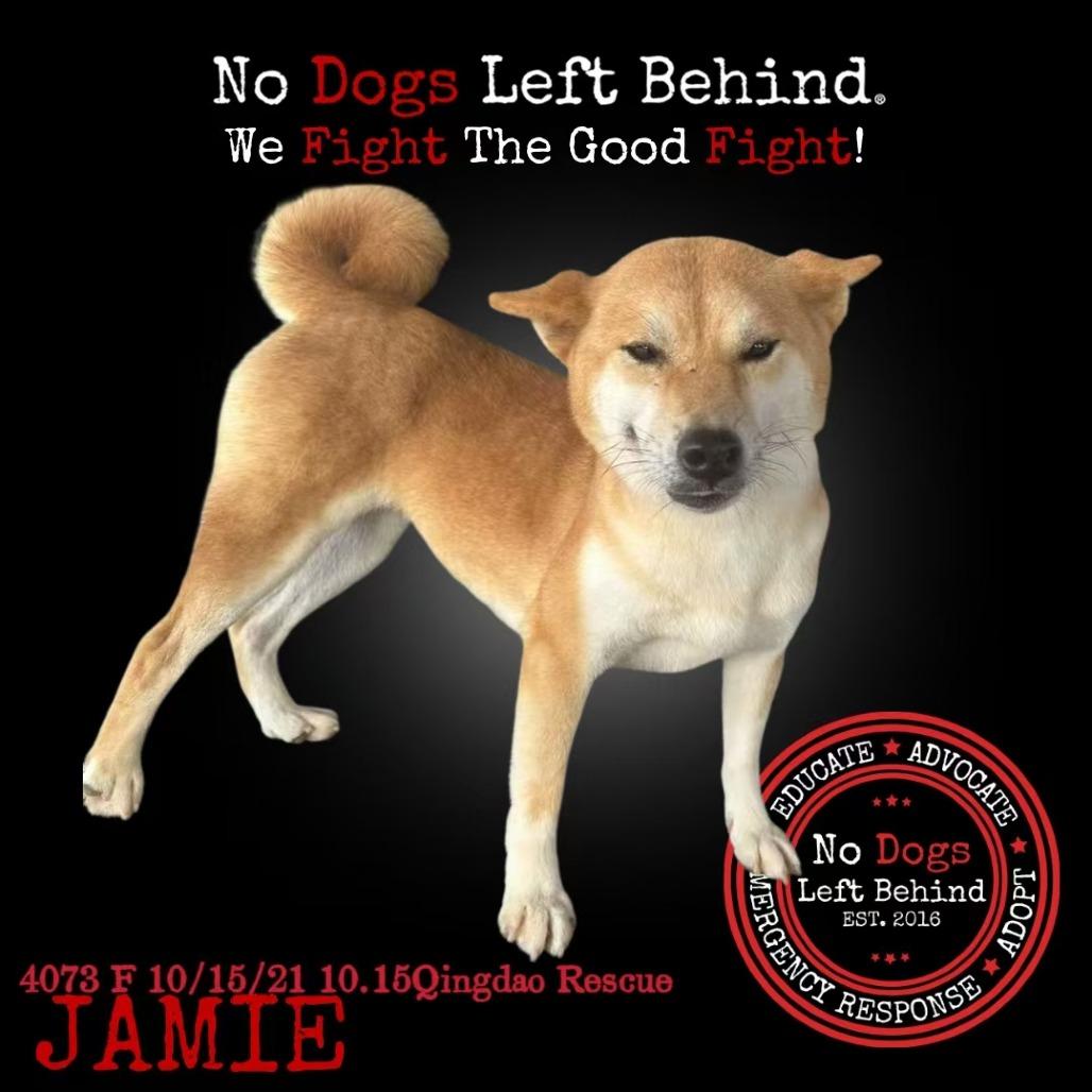 Jamie 4073
