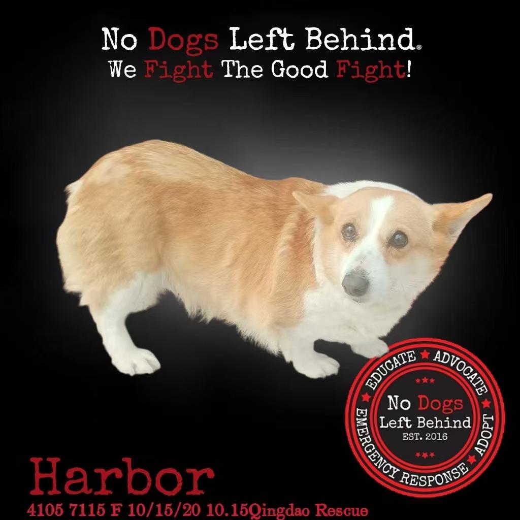 Harbor 4105 7115