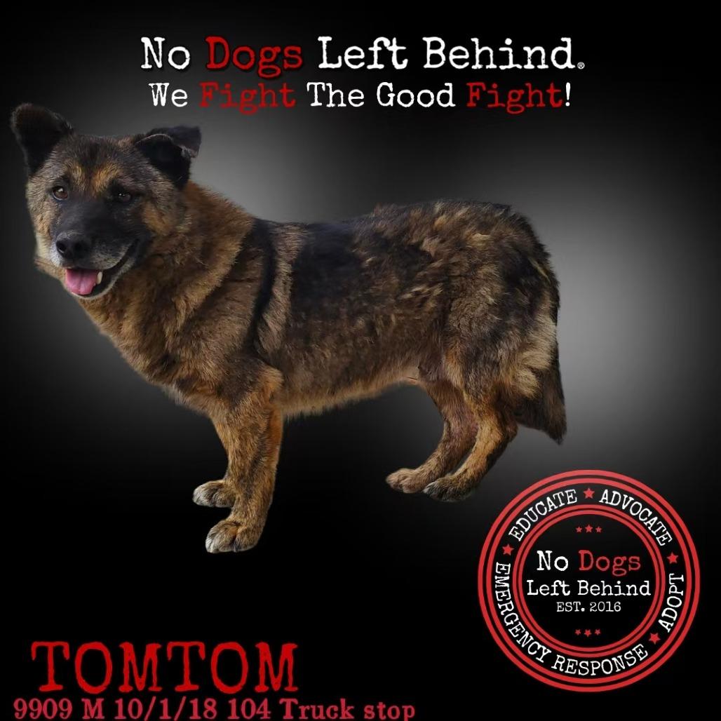 Tomtom 9909