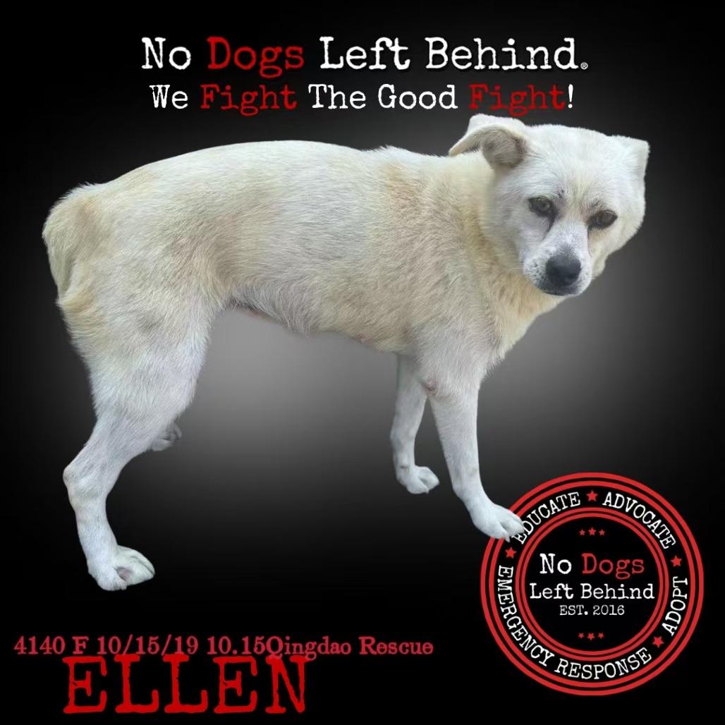 Ellen 4140