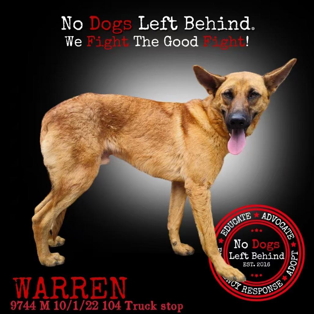 Warren 9744