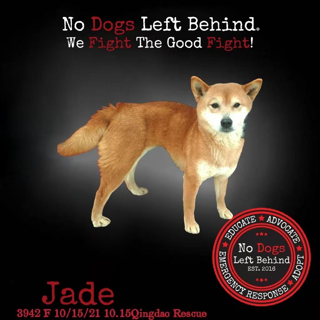 Jade 3942