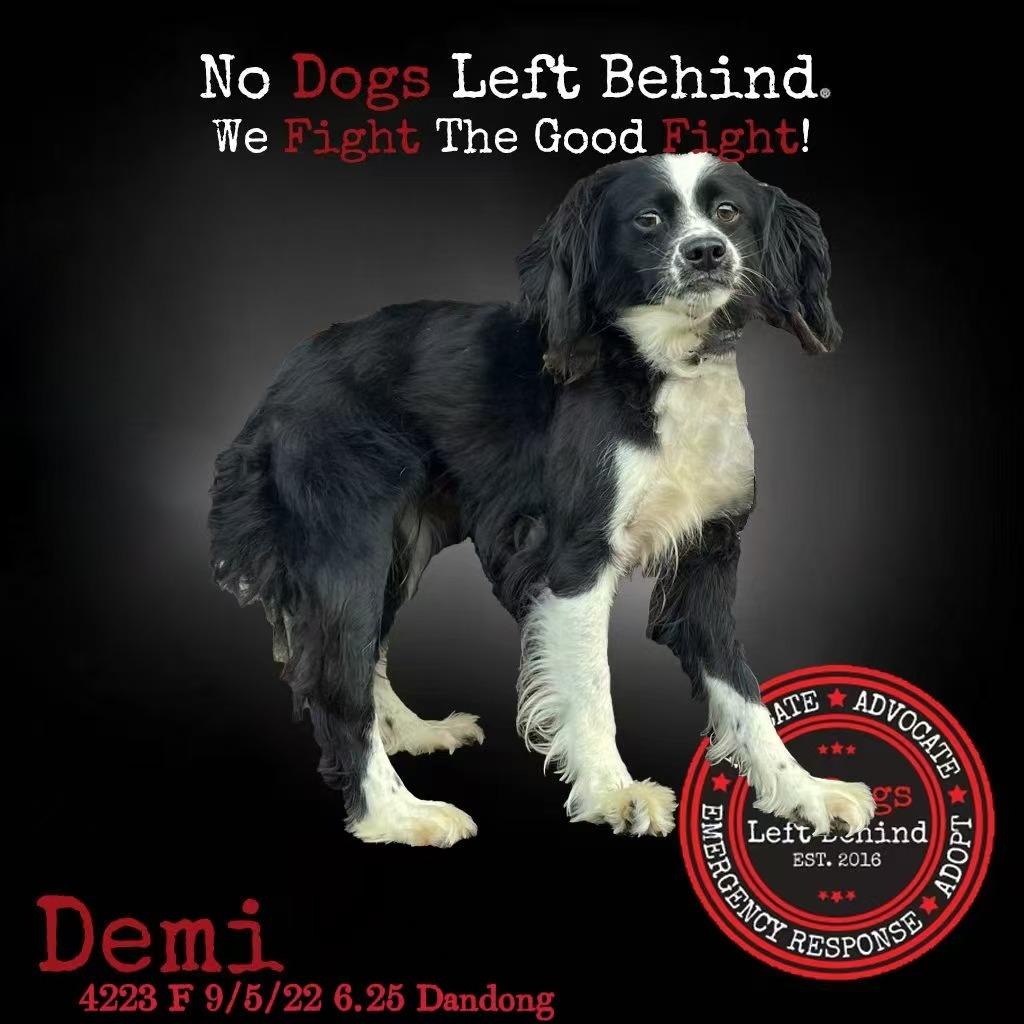 Demi 4223