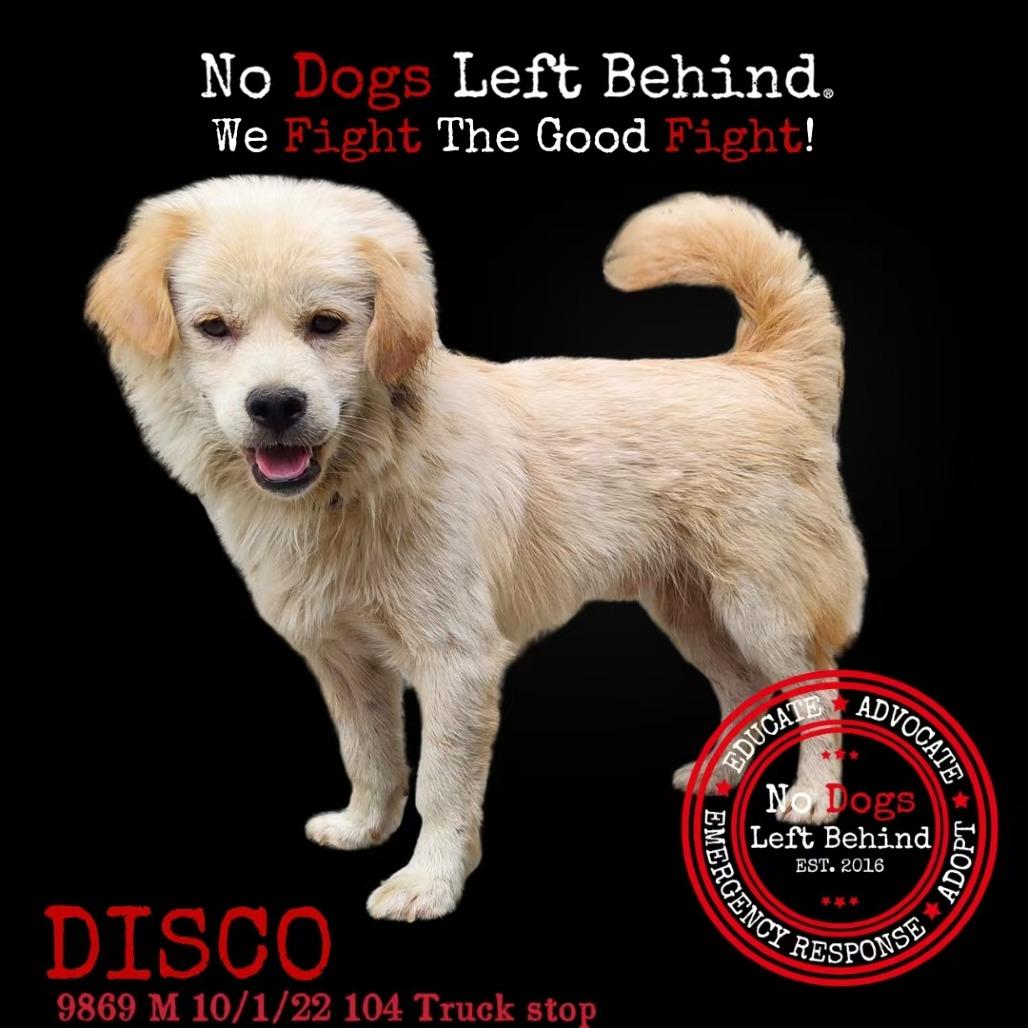 Disco 9869