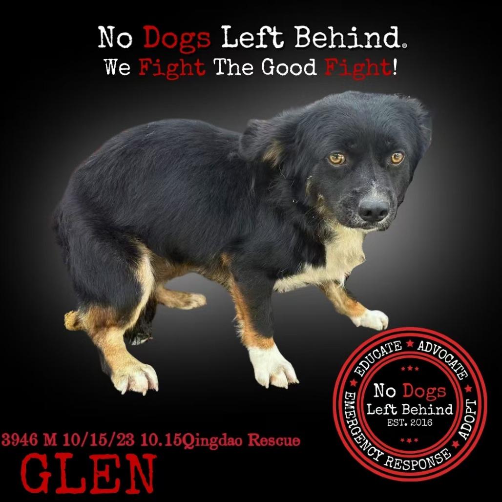 Glen 3946
