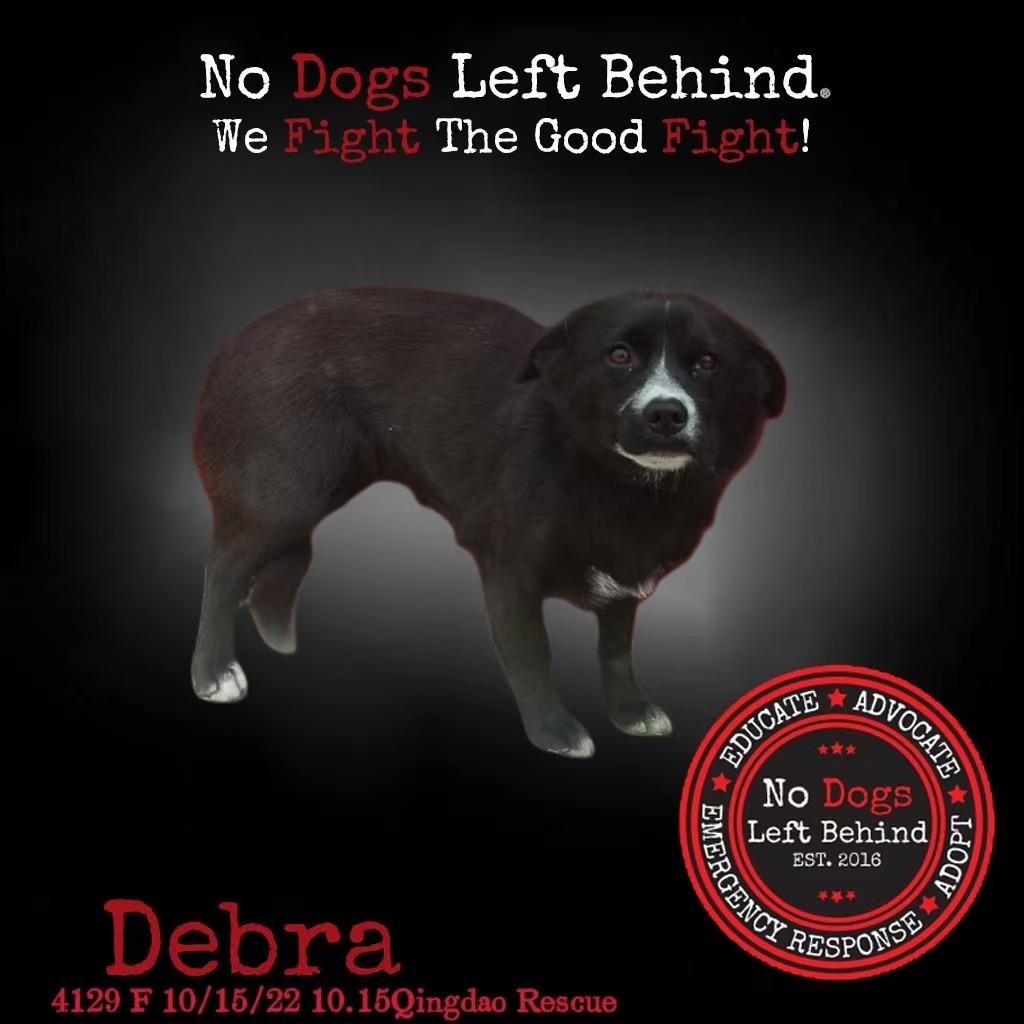 Debra 4129