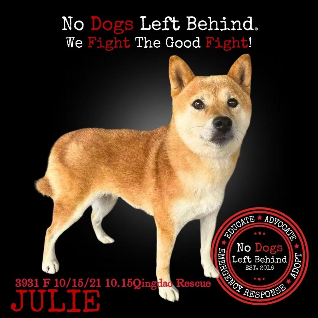 Julie 3931