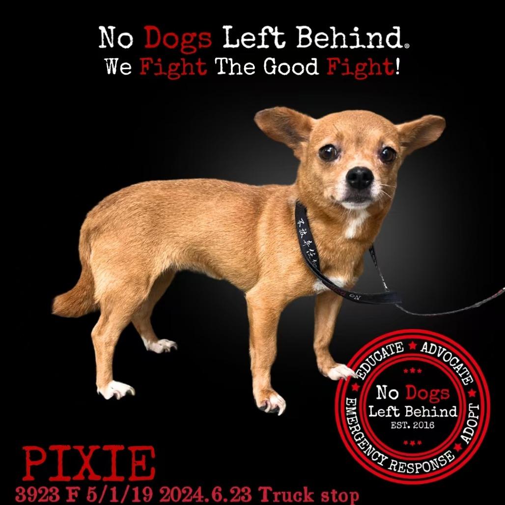 Pixie 3923