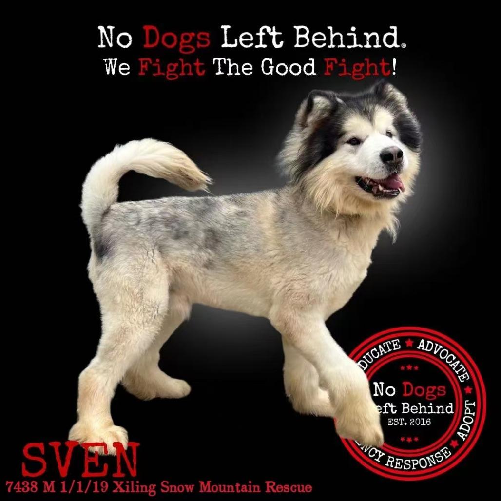 Sven 7438