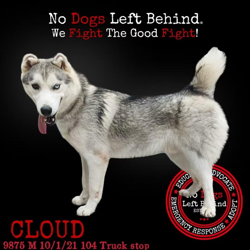 Cloud 9875