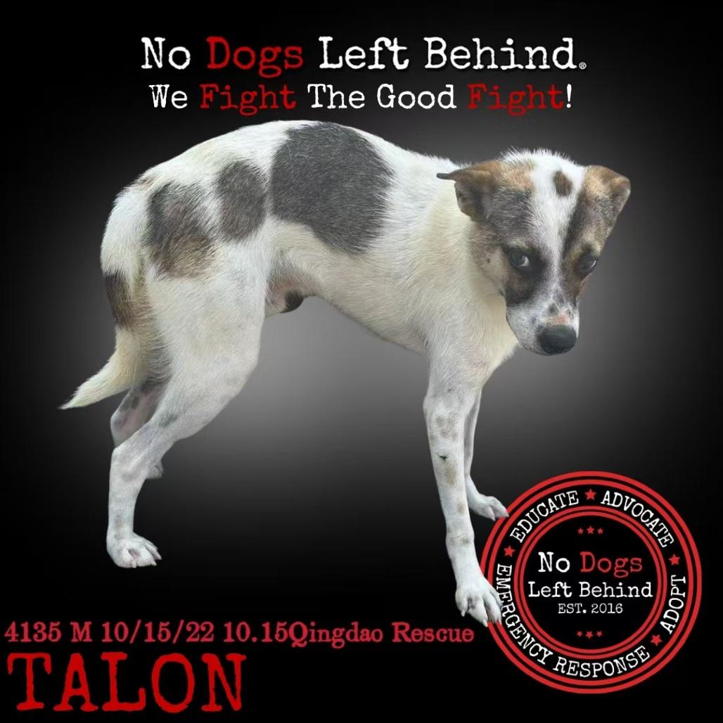 Talon 4135