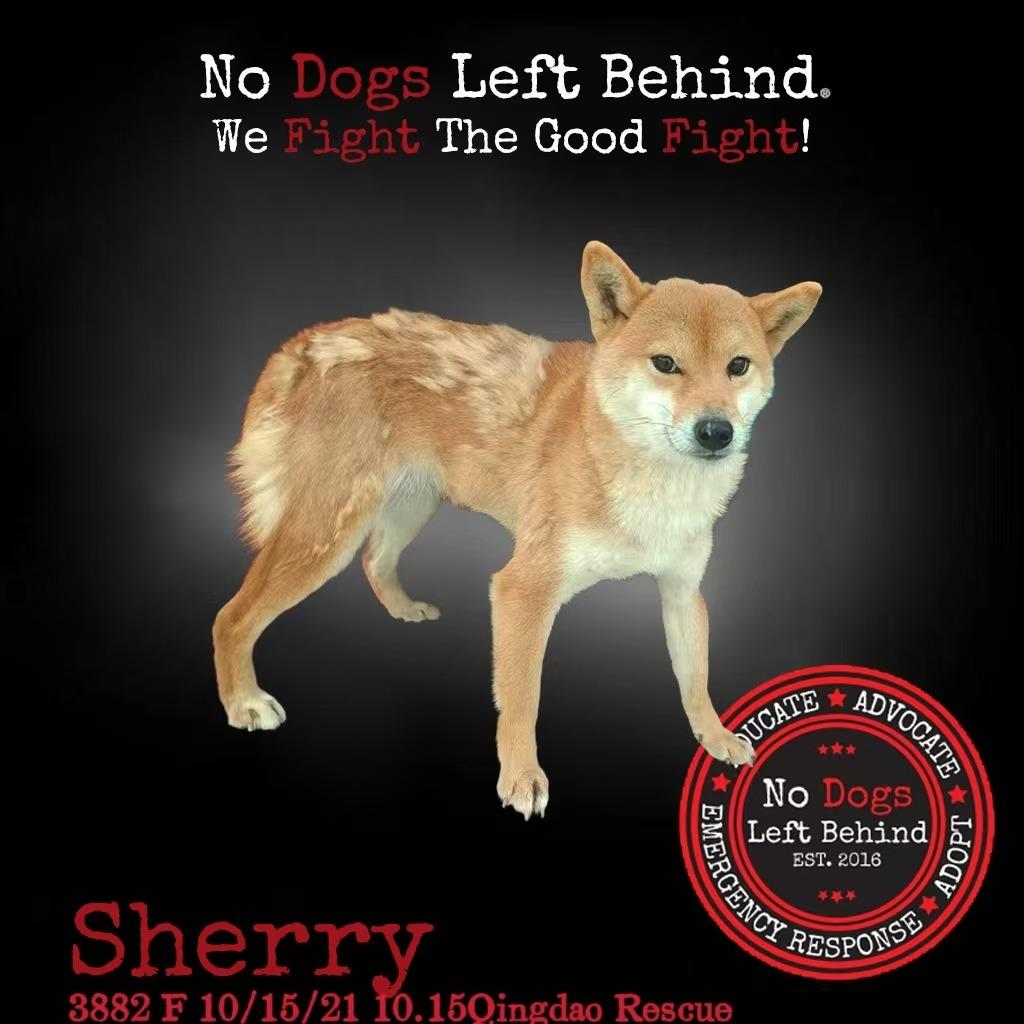 Sherry 3882