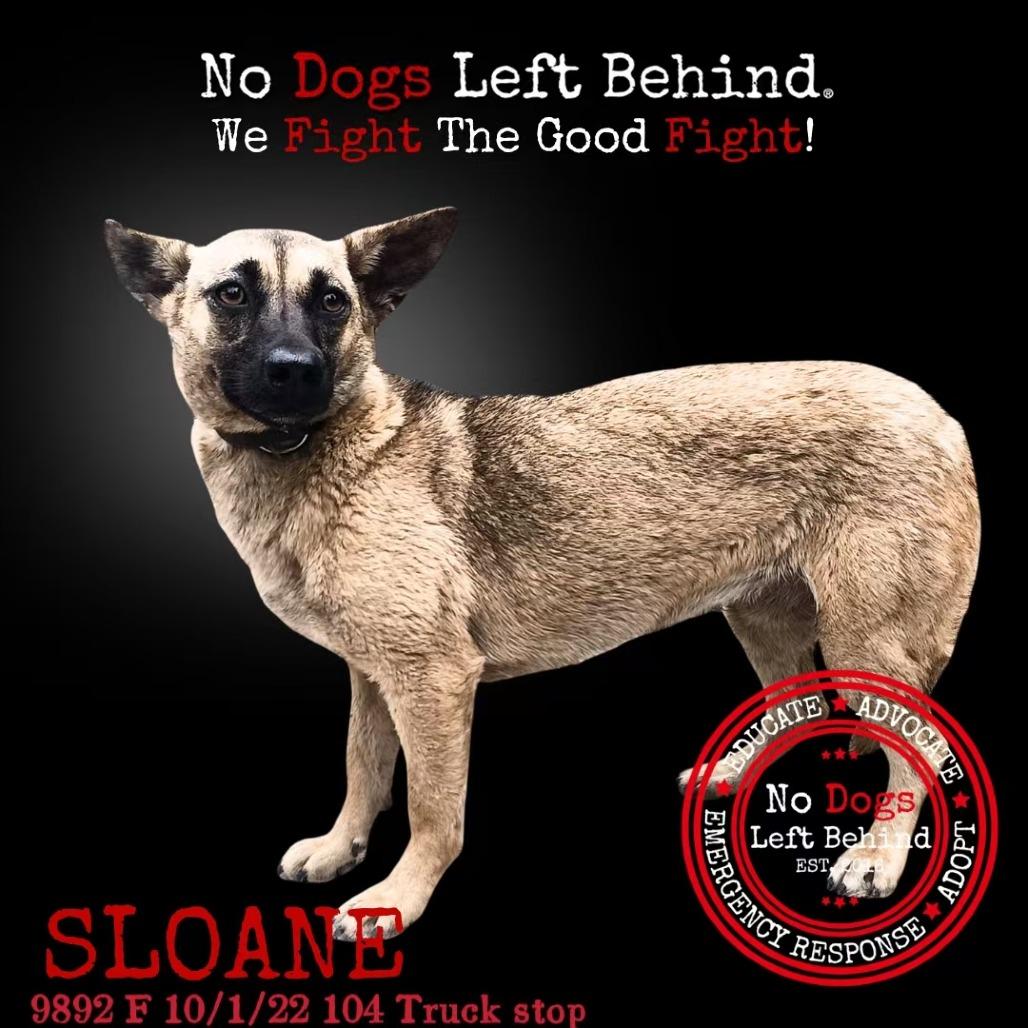 Sloane 9892