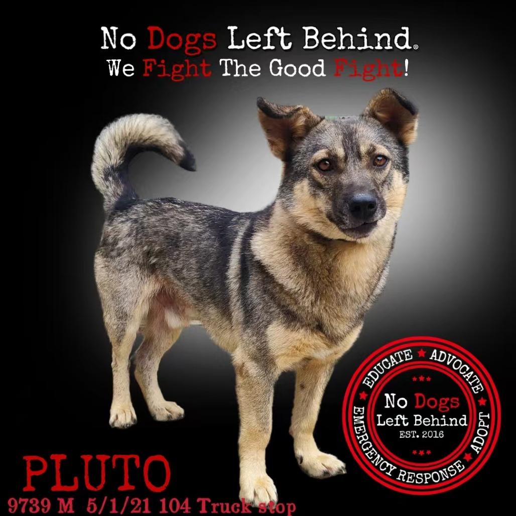 Pluto 9739