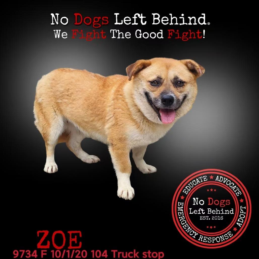 Zoe 9734