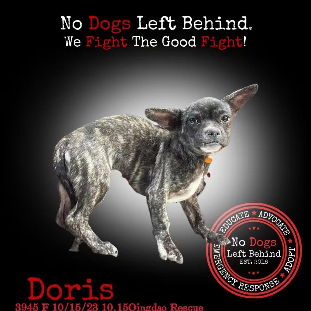 Doris 3945