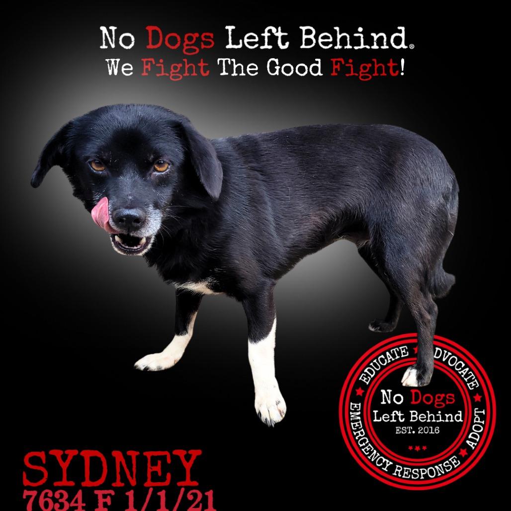 Sydney 7634