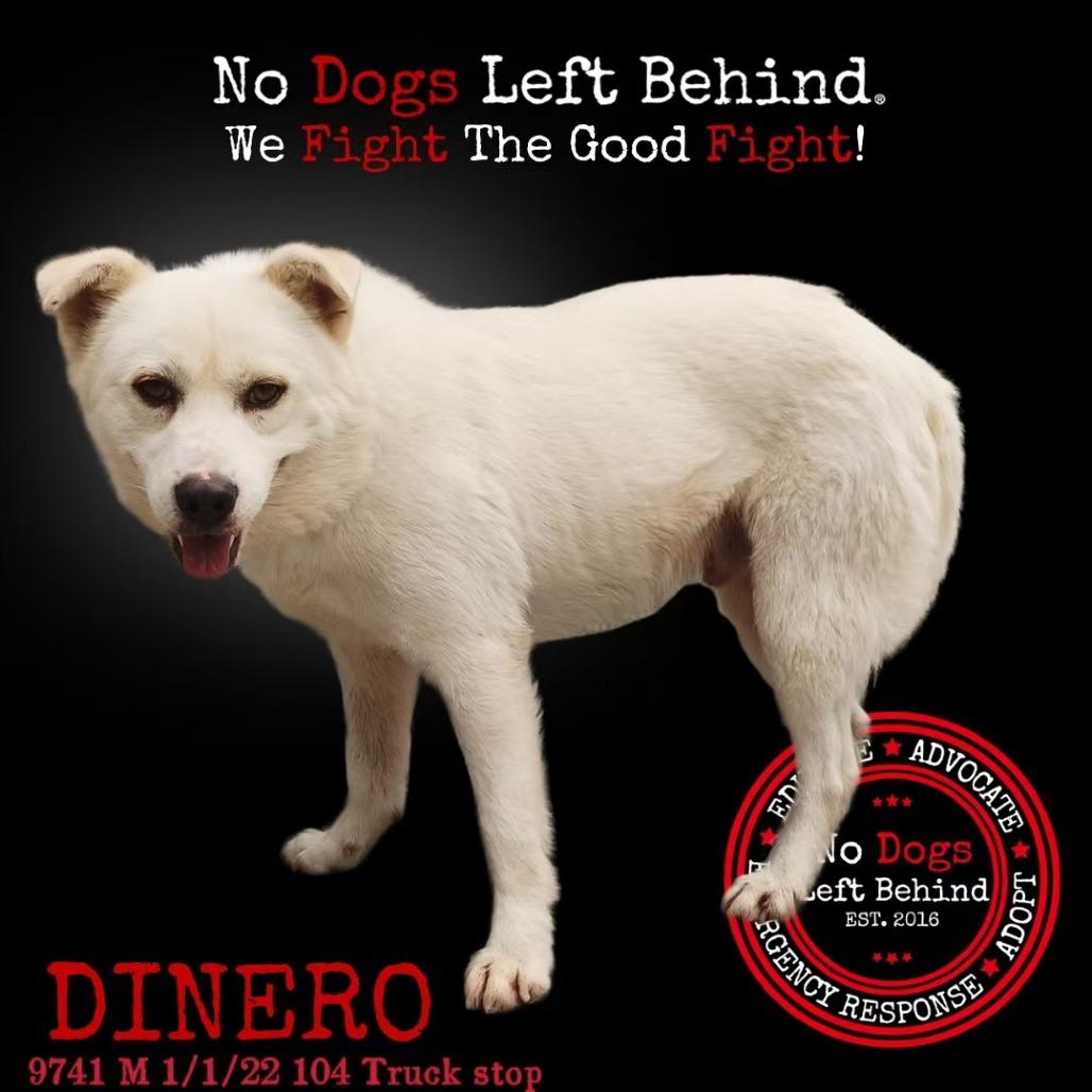 Dinero 9741