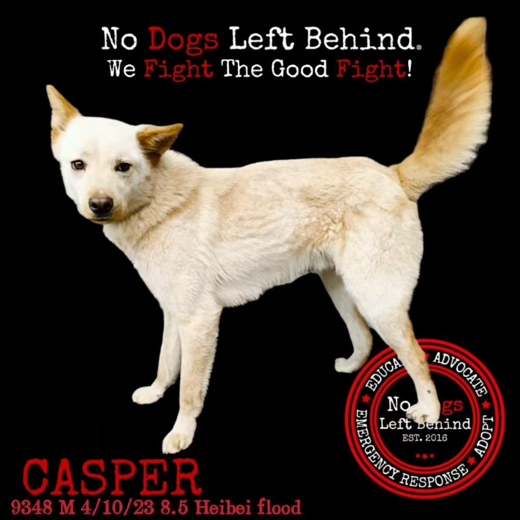 Casper 9348