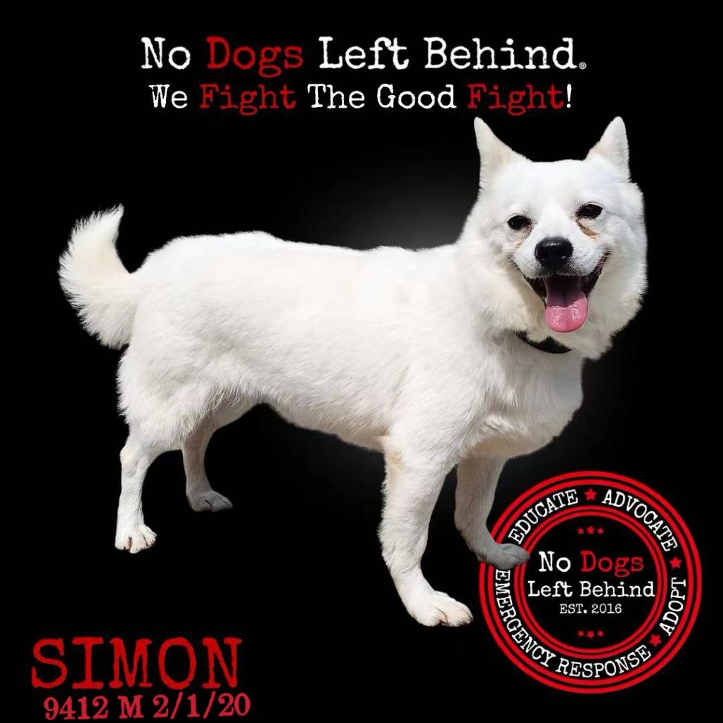 Simon 9412